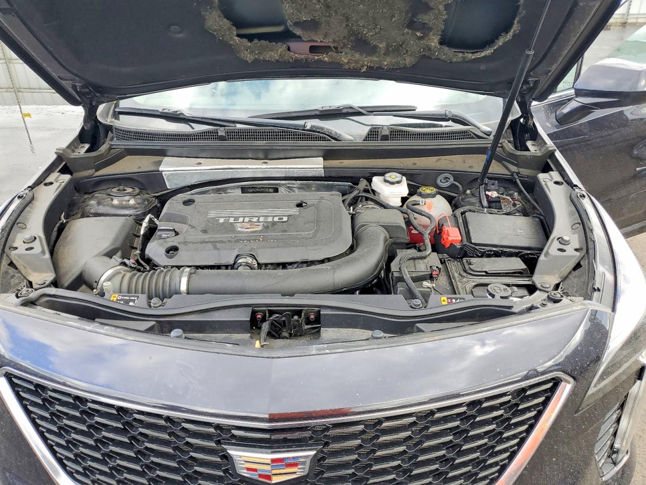 2023 CADILLAC XT4