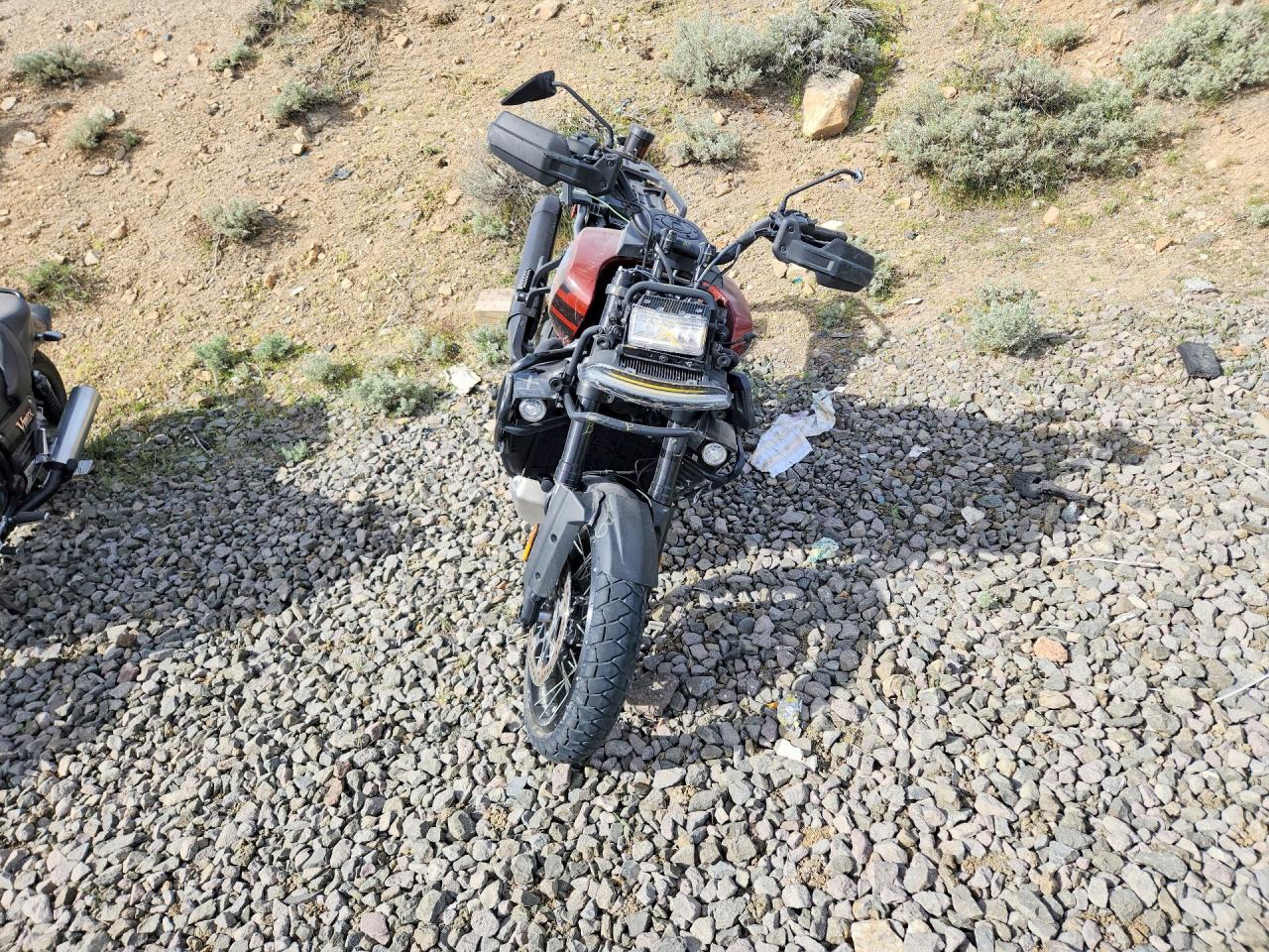 2024 HARLEY DAVIDSON ALL OTHER