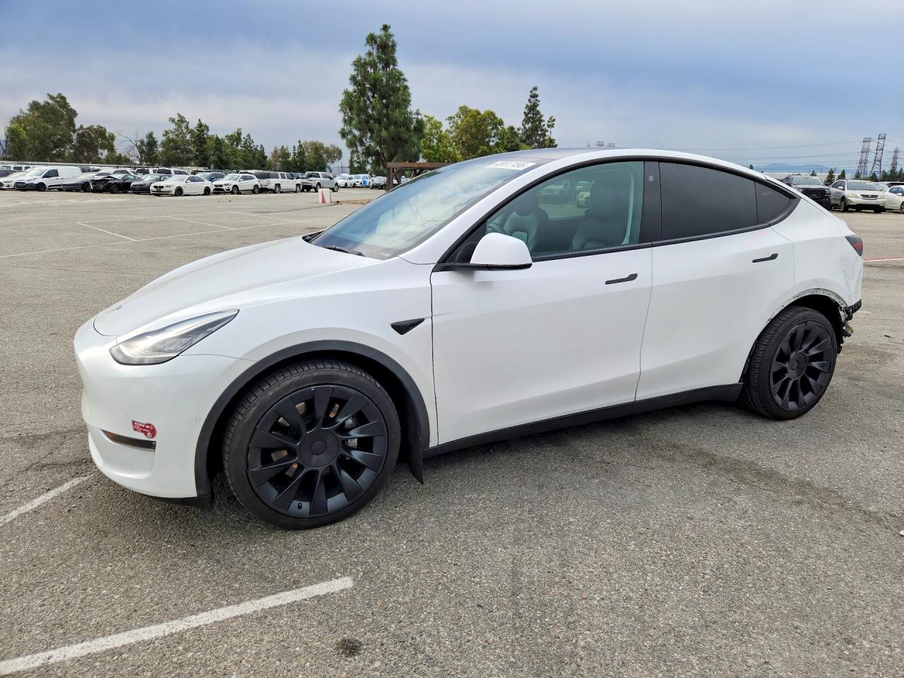 2022 TESLA MODEL Y