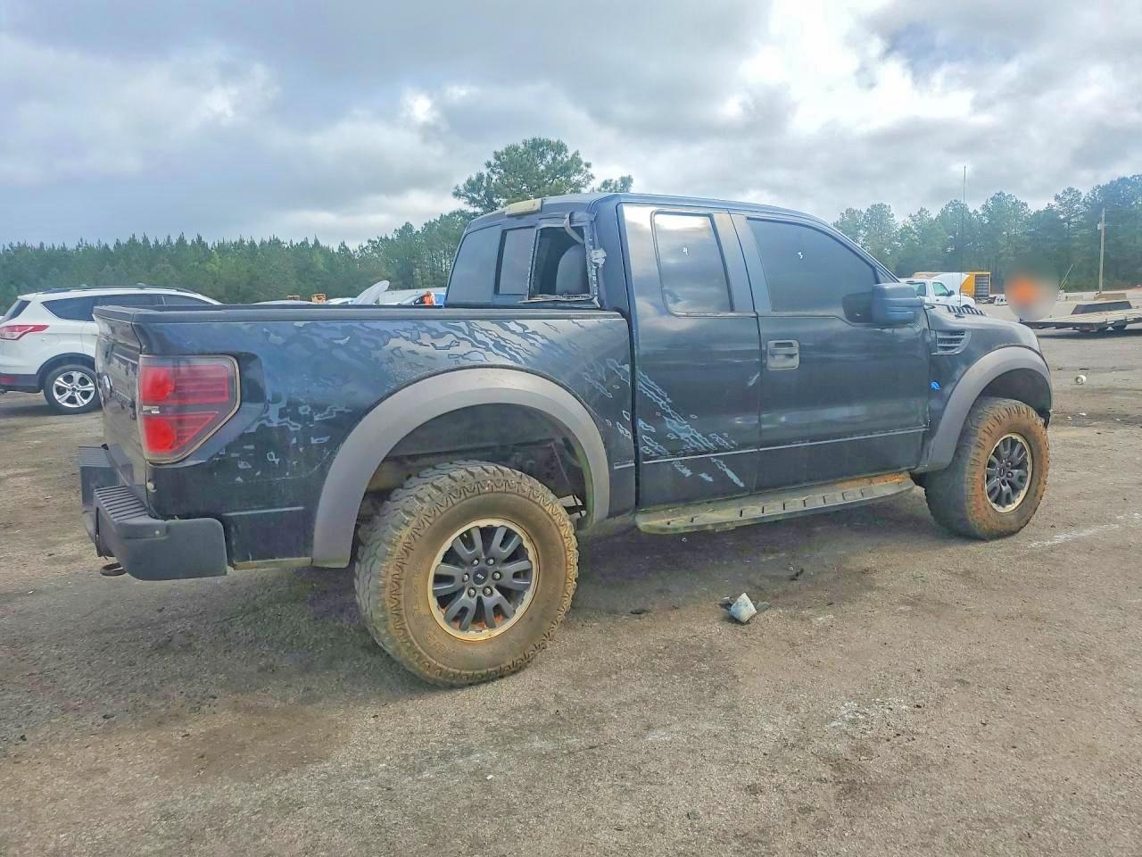 2010 FORD F150