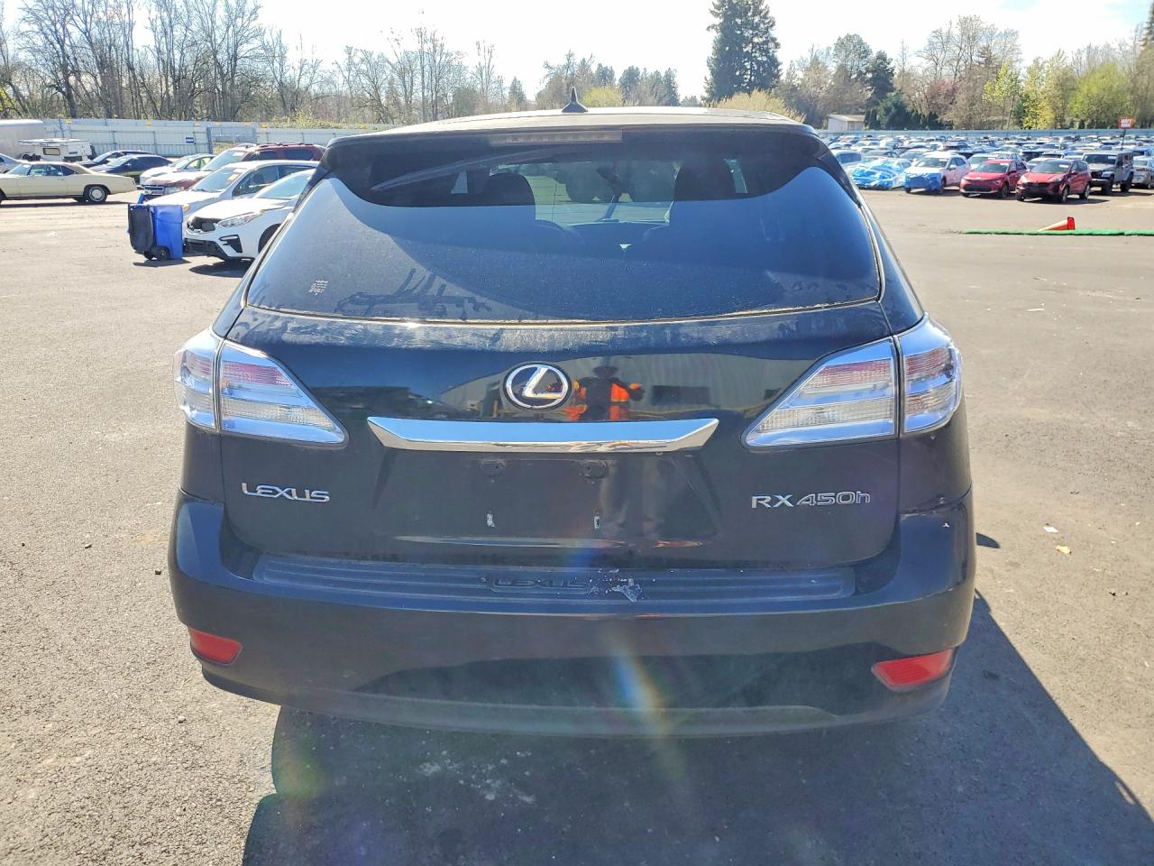 2010 LEXUS RX450