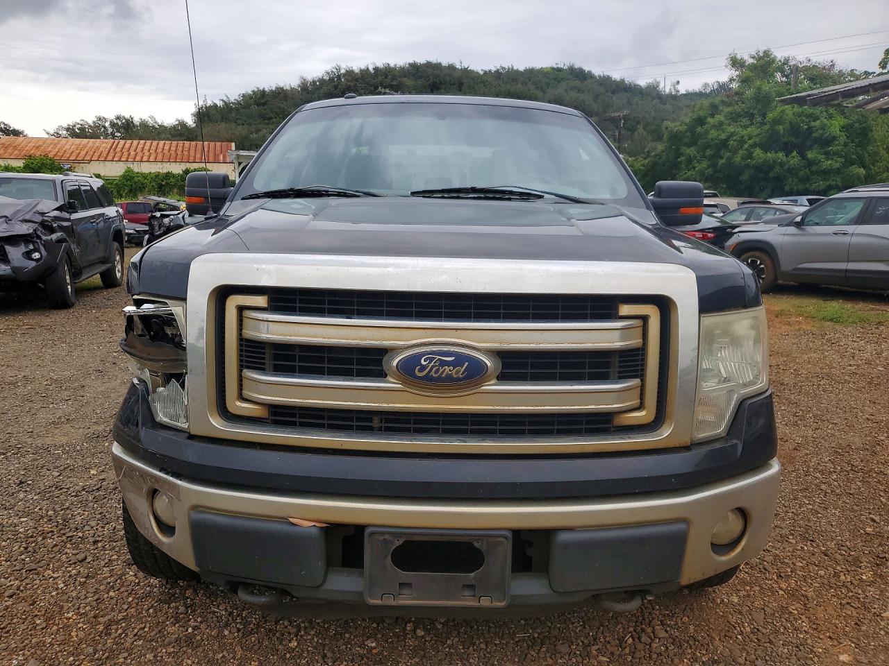2013 FORD F150
