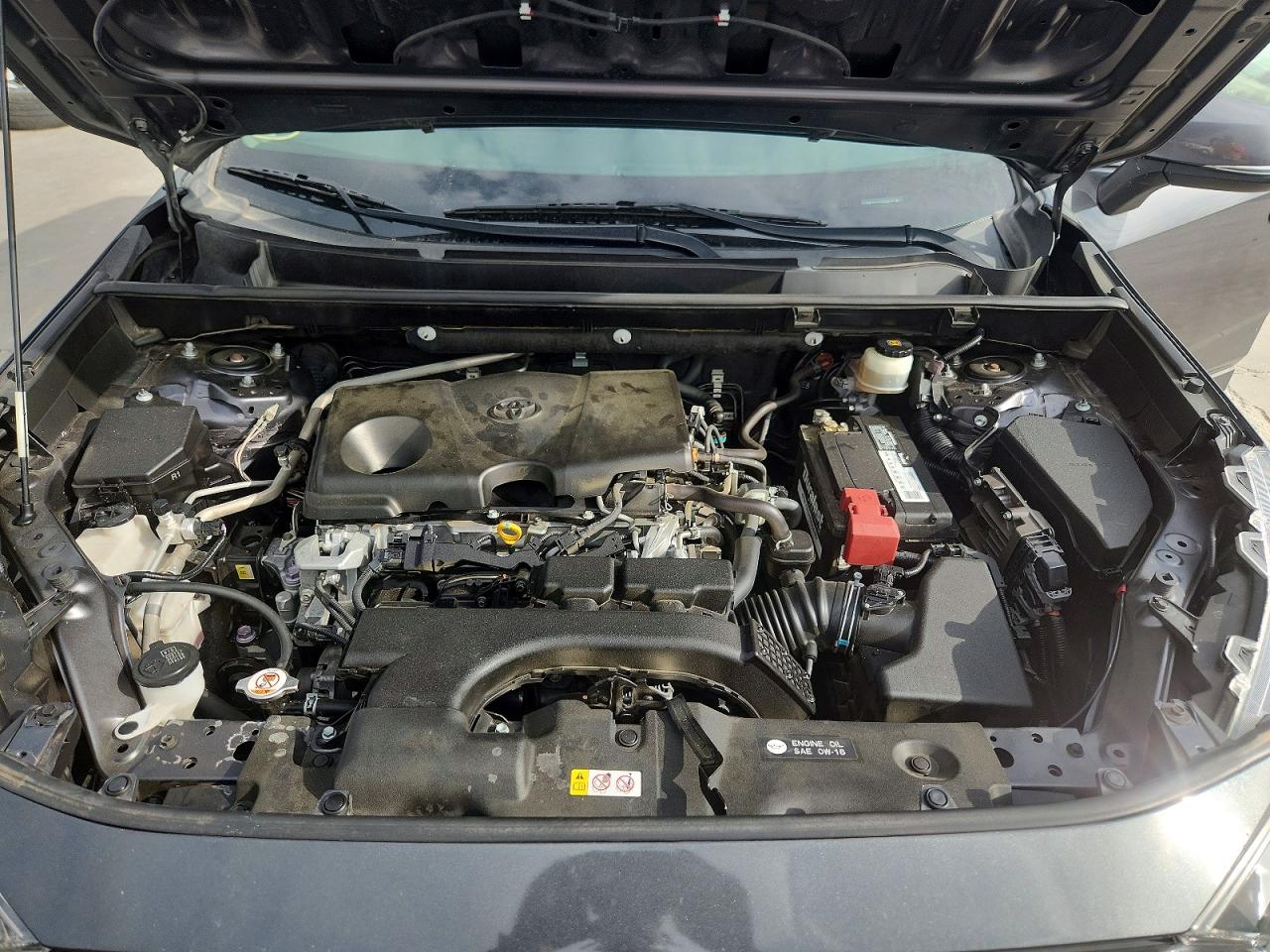 2019 TOYOTA RAV4