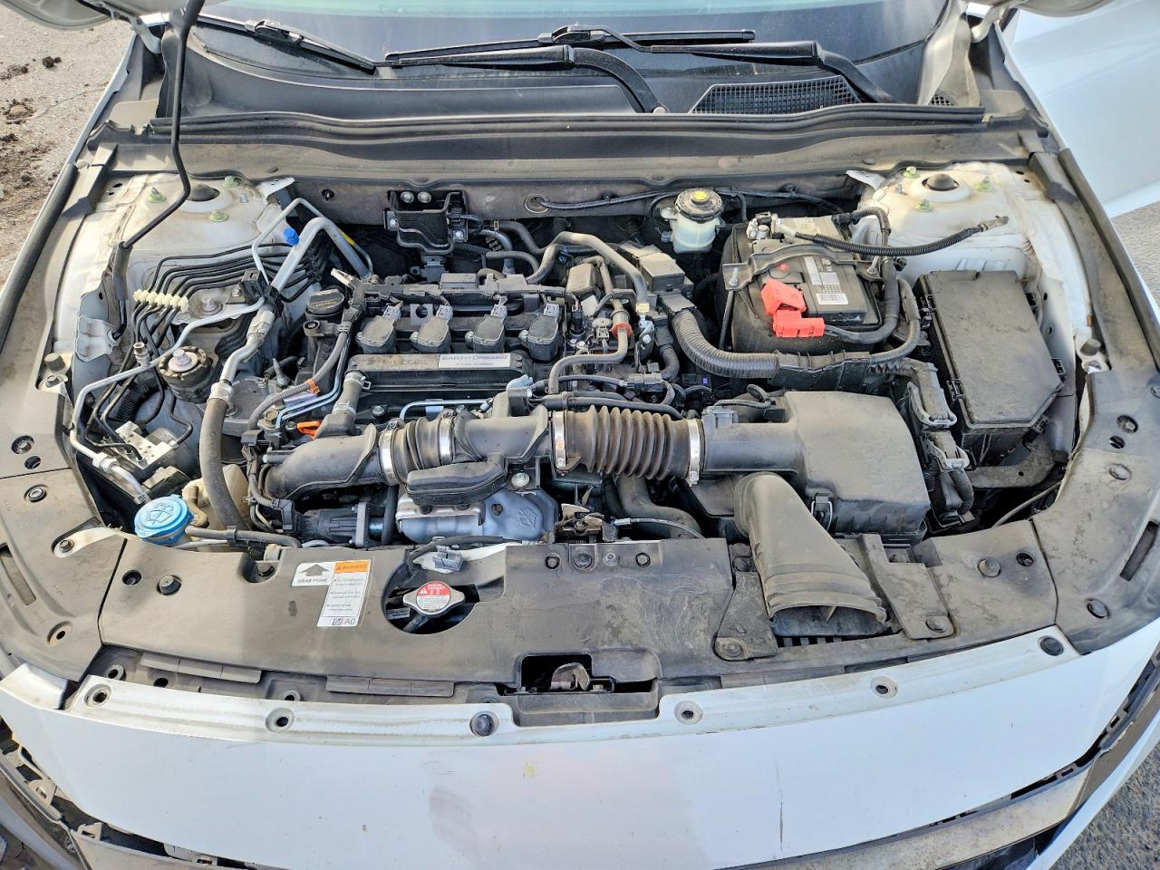 2019 HONDA ACCORD