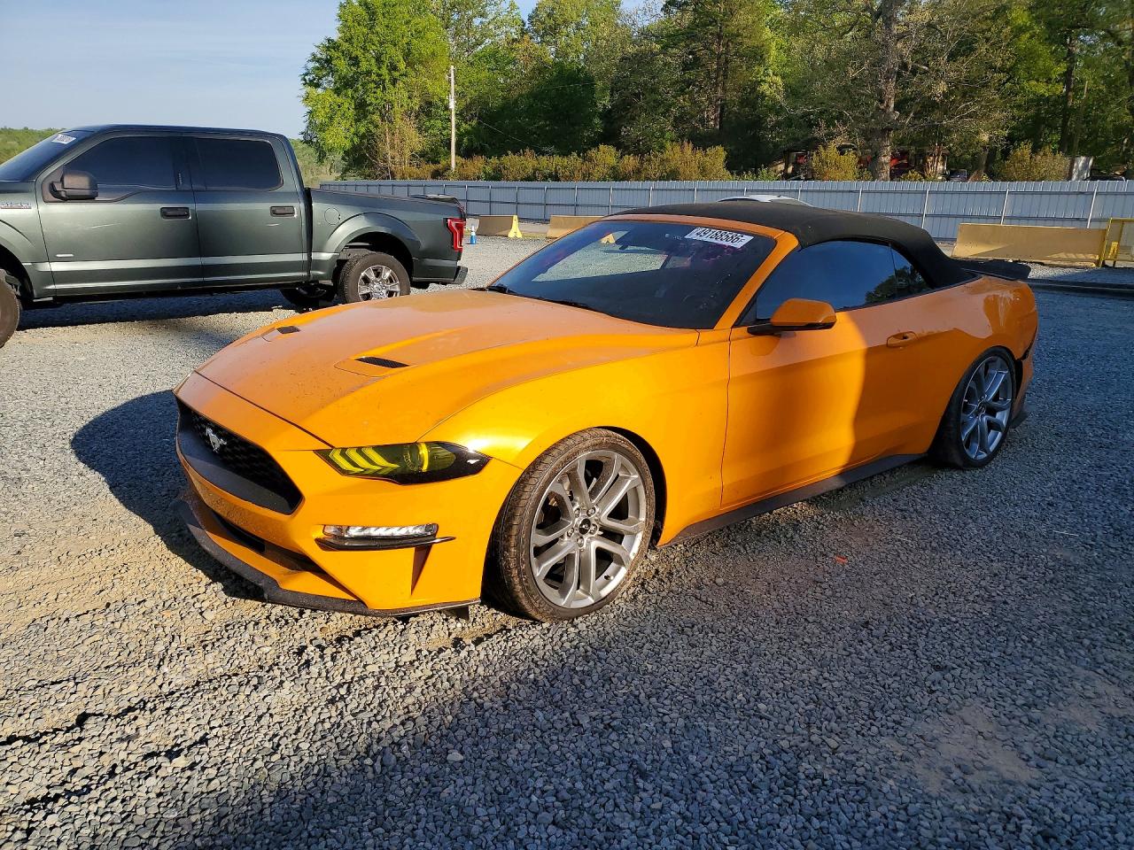 2019 FORD MUSTANG