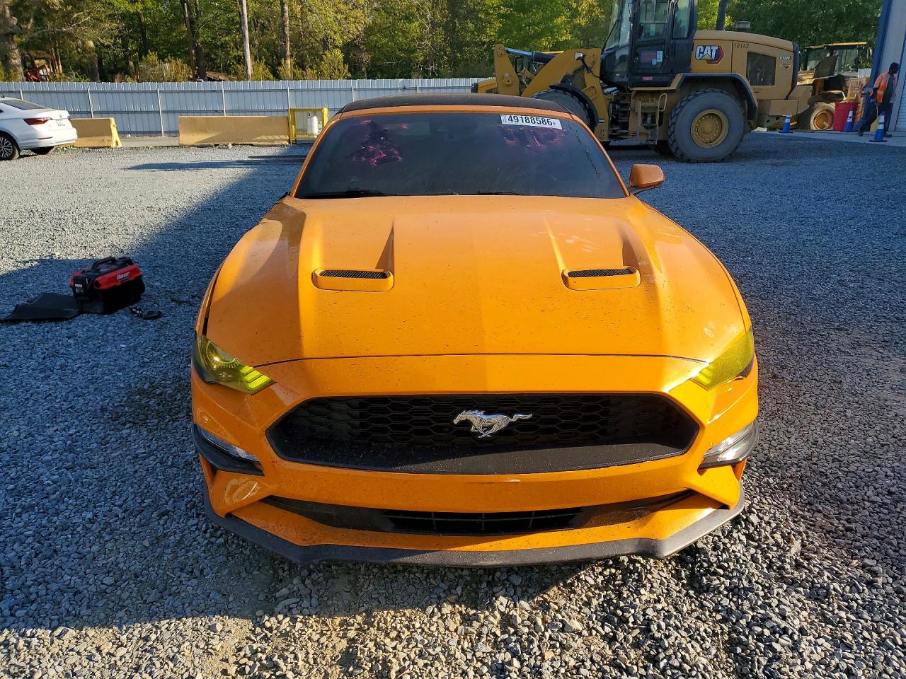 2019 FORD MUSTANG