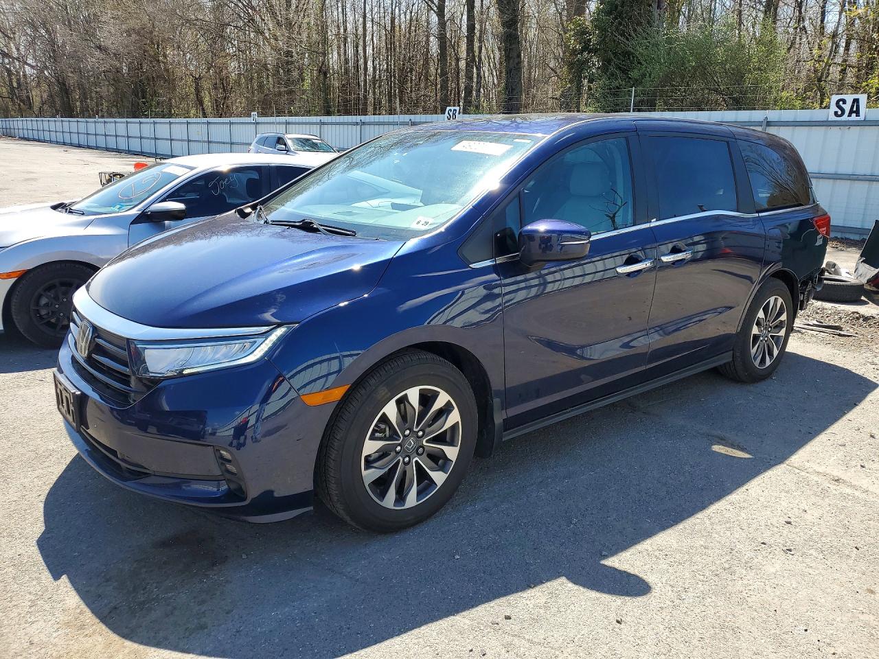 2024 HONDA All Models