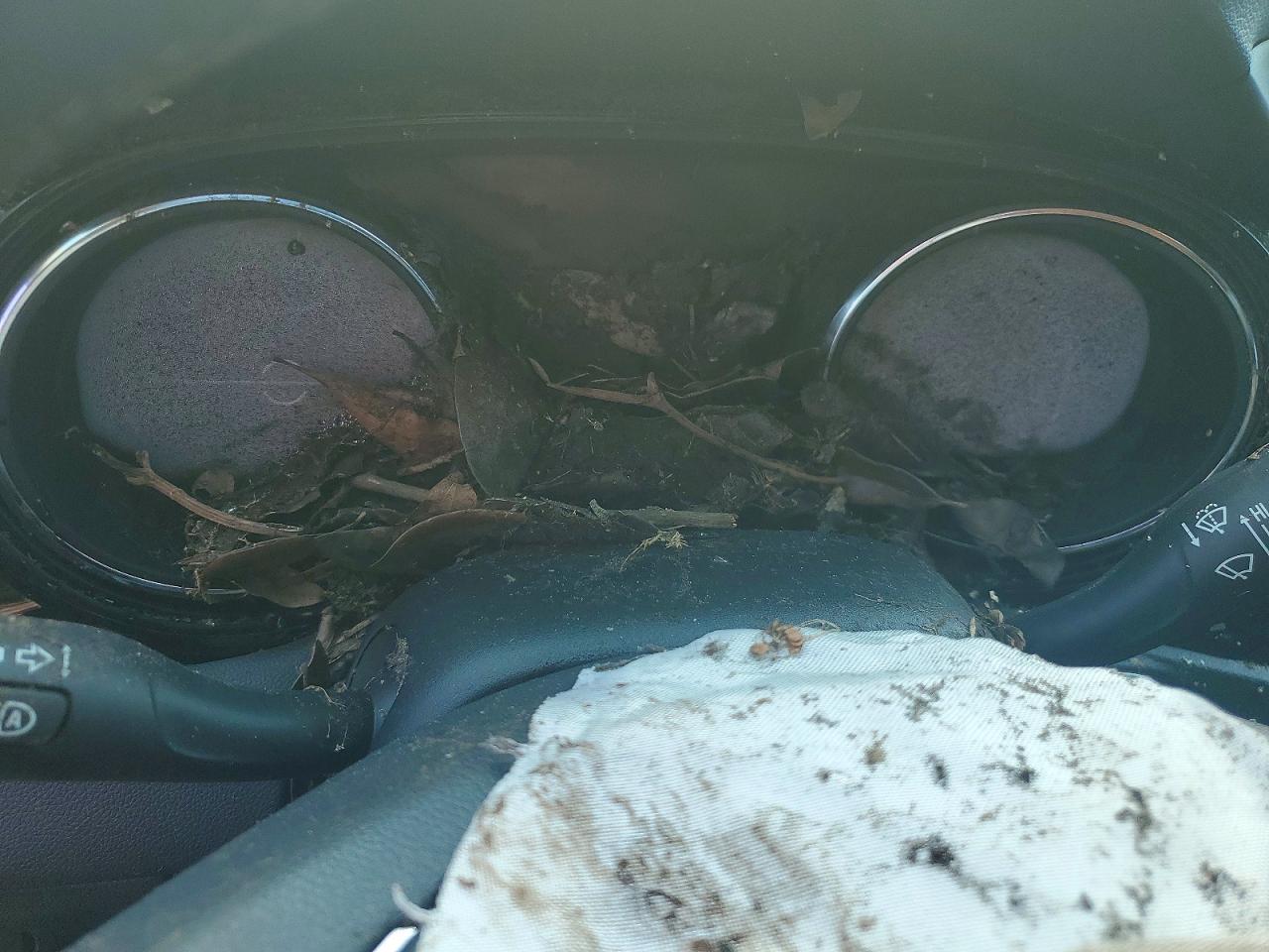 2021 BUICK ENCORE