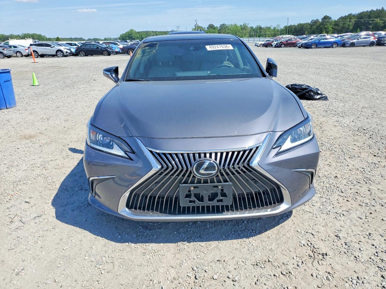 2019 LEXUS ES350