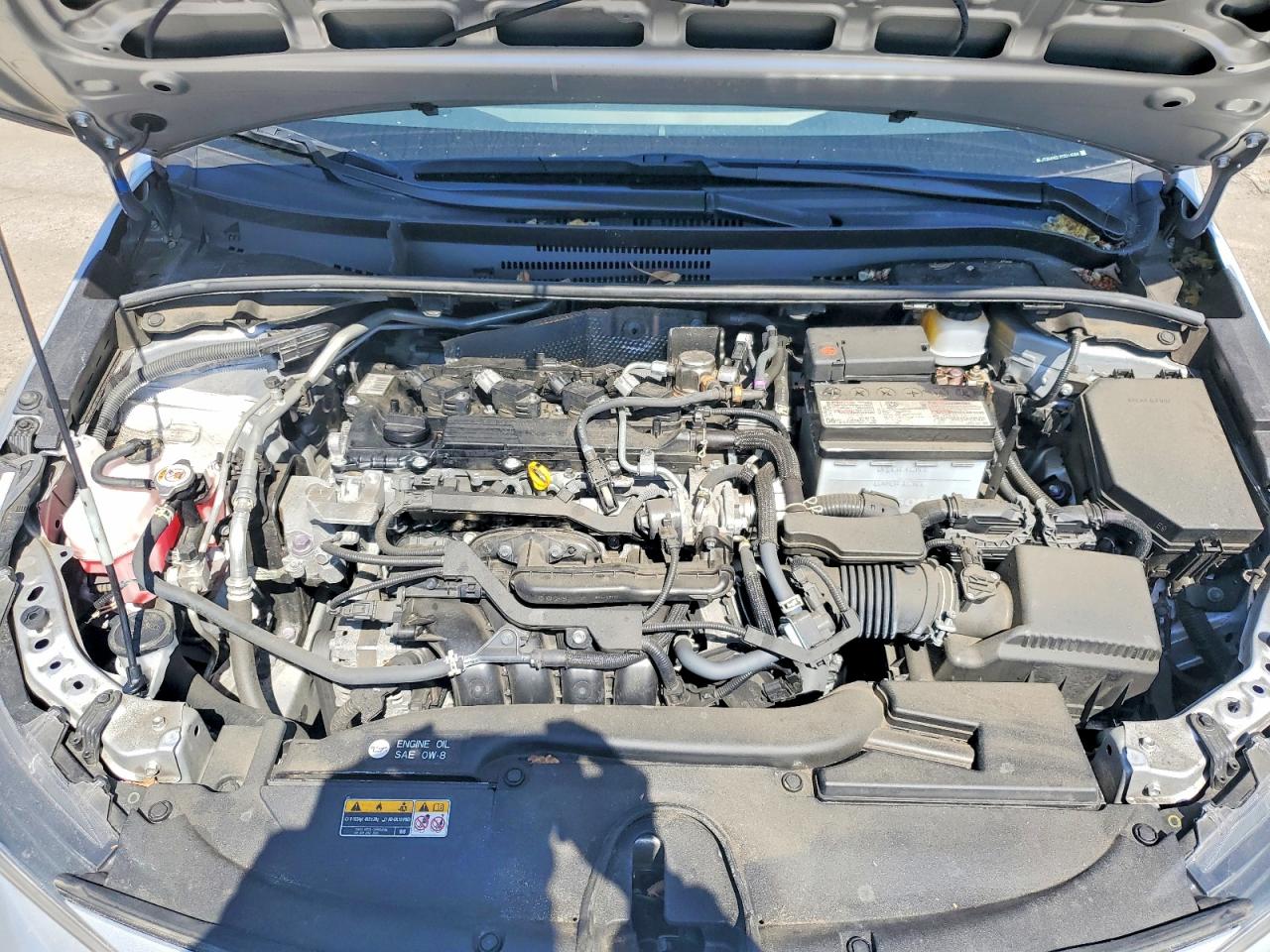 2023 TOYOTA COROLLA