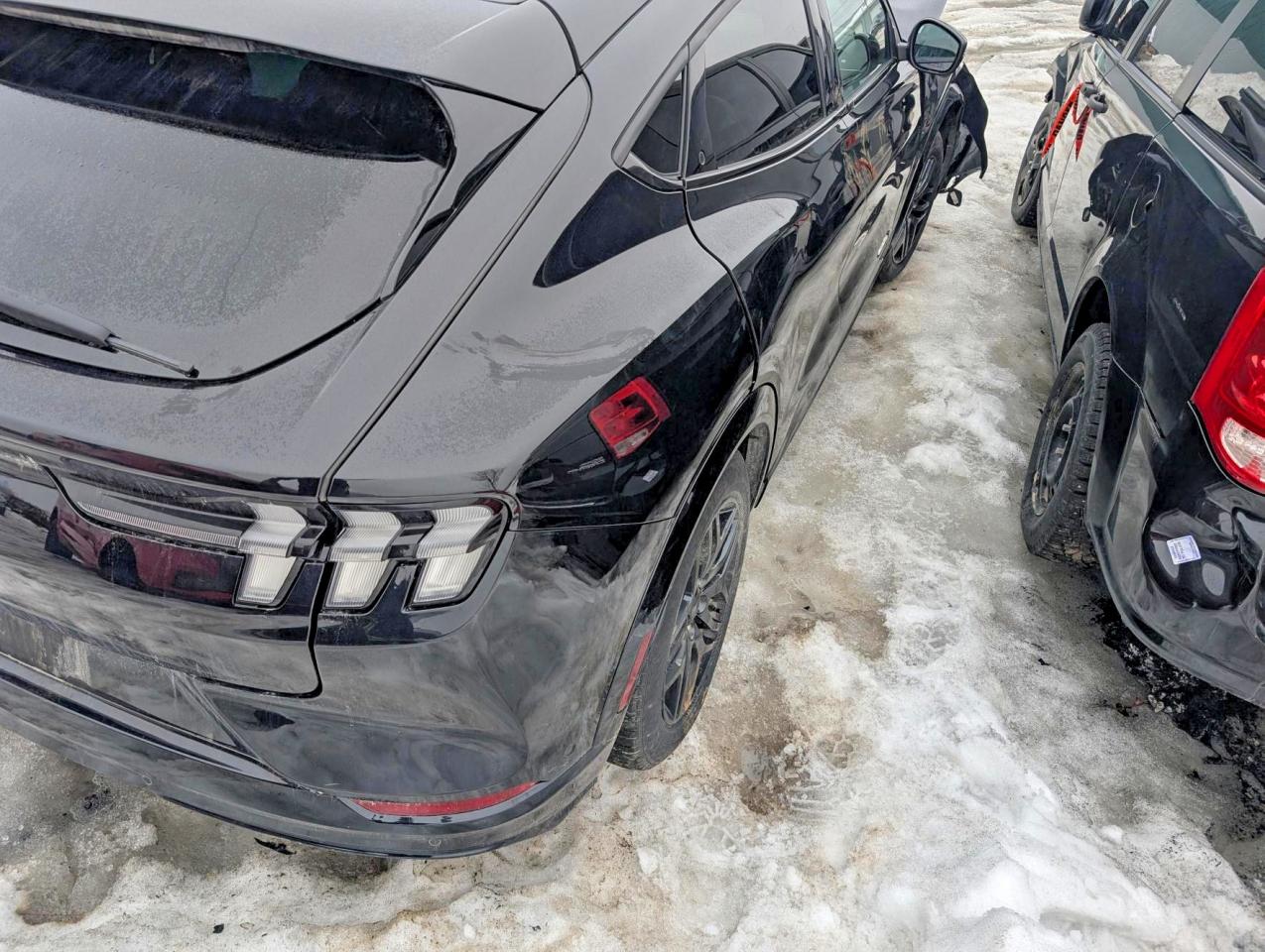 2022 FORD MUSTANG