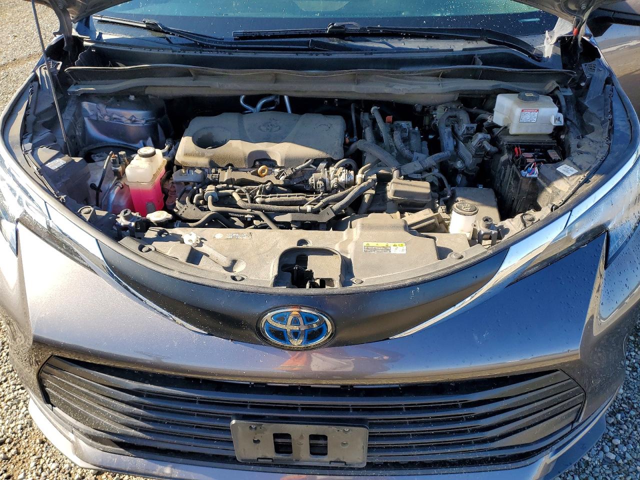 2022 TOYOTA SIENNA
