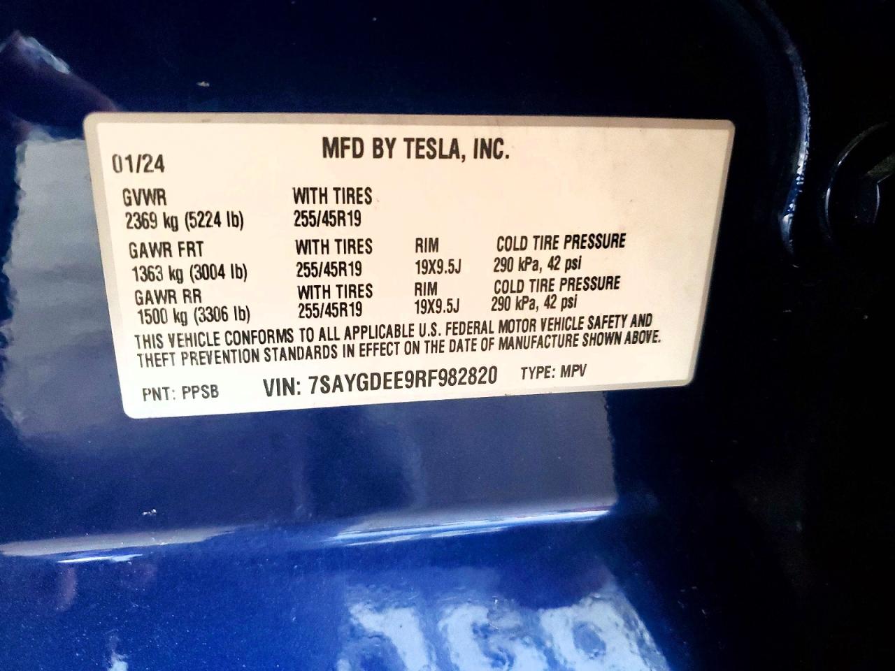 2024 TESLA MODEL Y