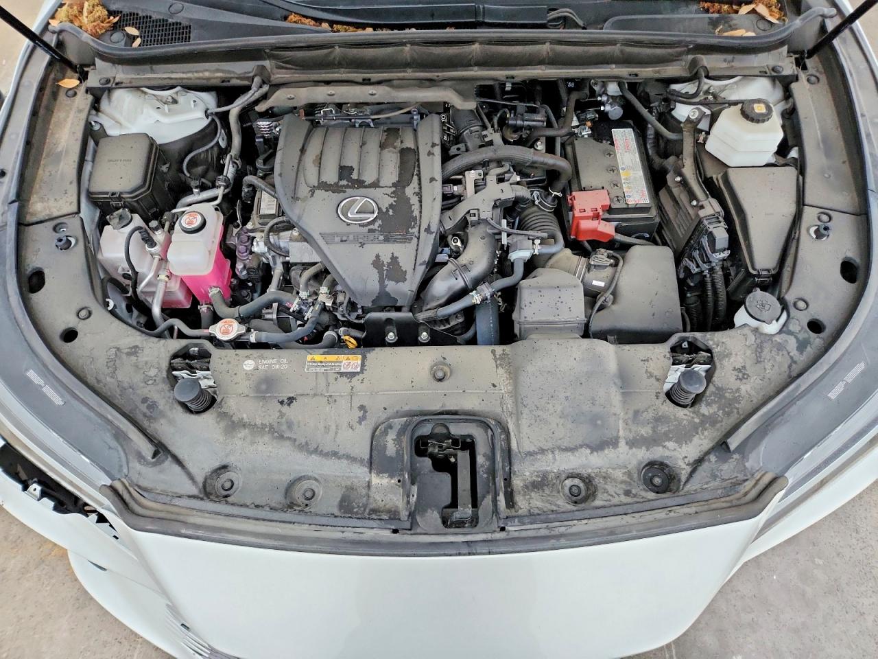 2023 LEXUS RX350