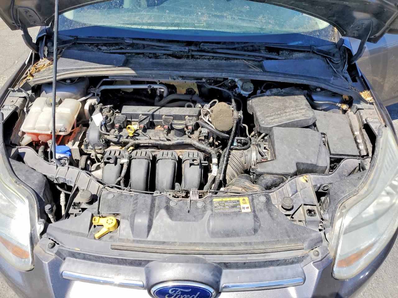 2014 FORD FOCUS