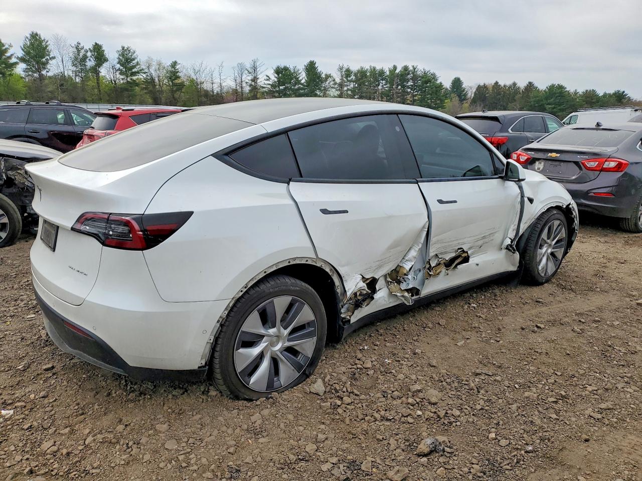 2021 TESLA MODEL Y