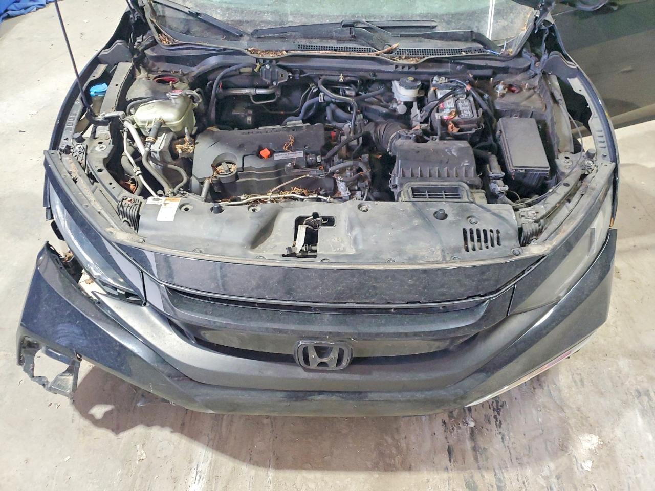 2019 HONDA CIVIC
