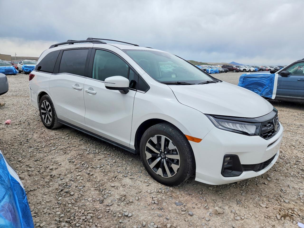 2026 HONDA ODYSSEY