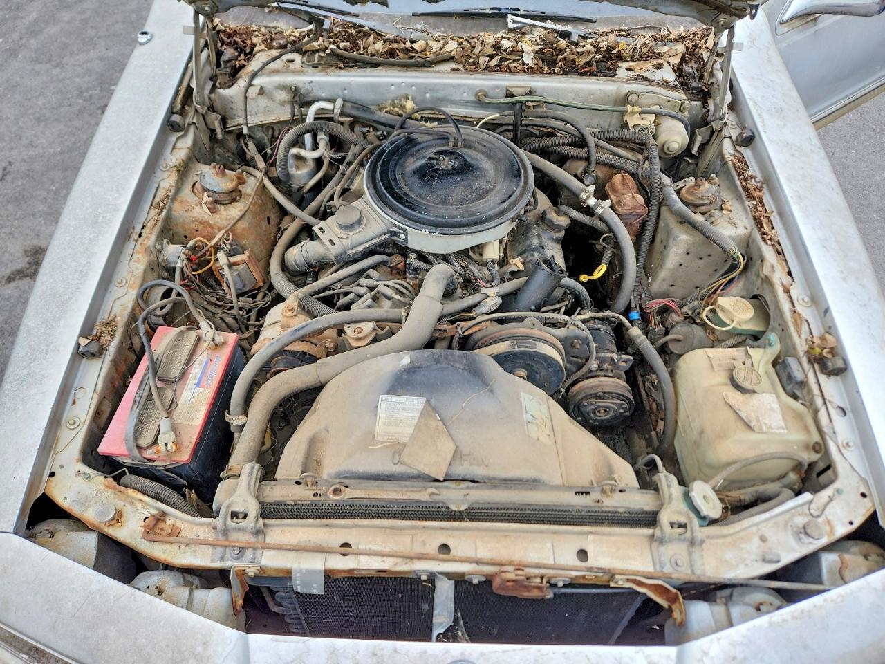 1986 MERCURY COUGAR