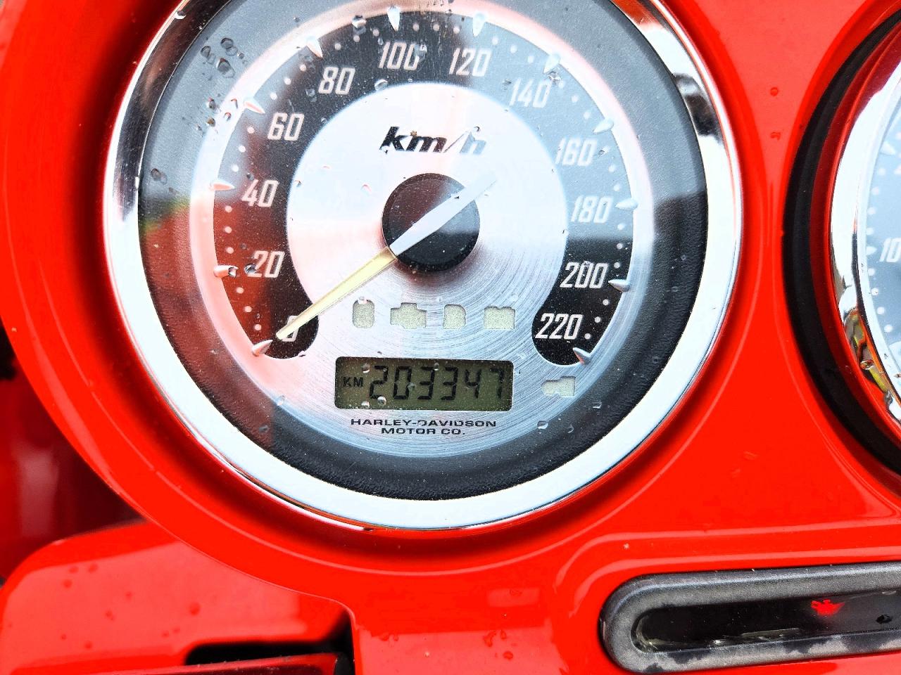 2009 HARLEY-DAVIDSON FLSE