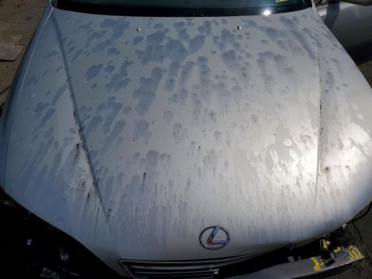 1999 LEXUS ES250