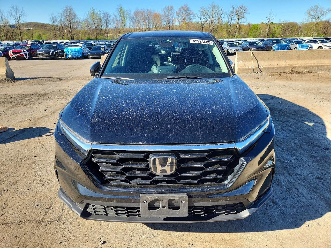 2023 HONDA CRV
