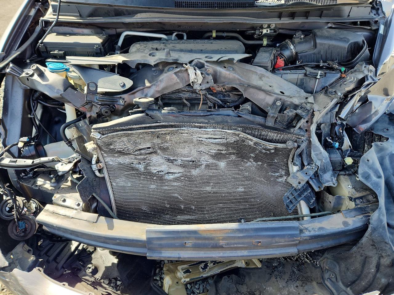 2014 HONDA All Models