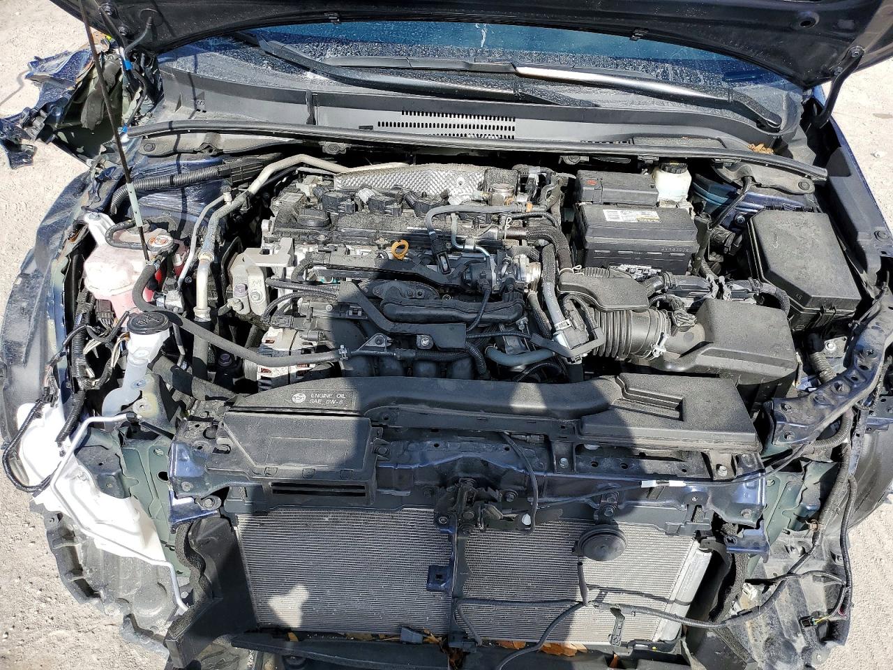 2023 TOYOTA COROLLA