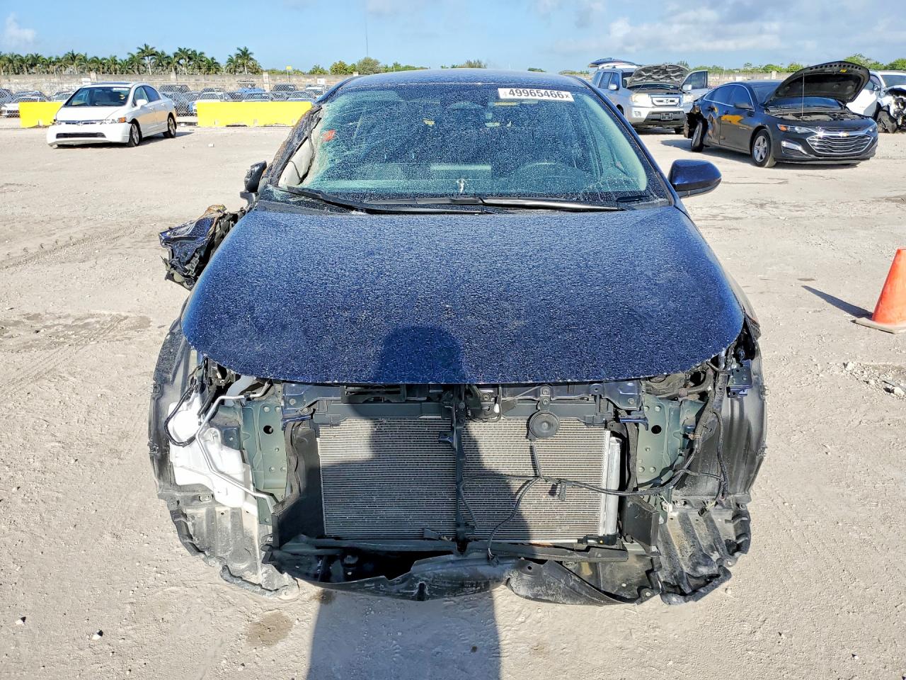 2023 TOYOTA COROLLA
