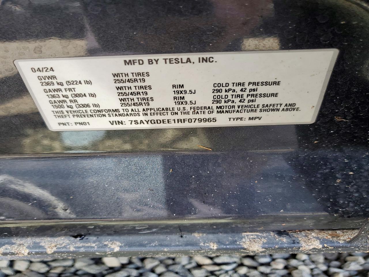 2024 TESLA MODEL Y