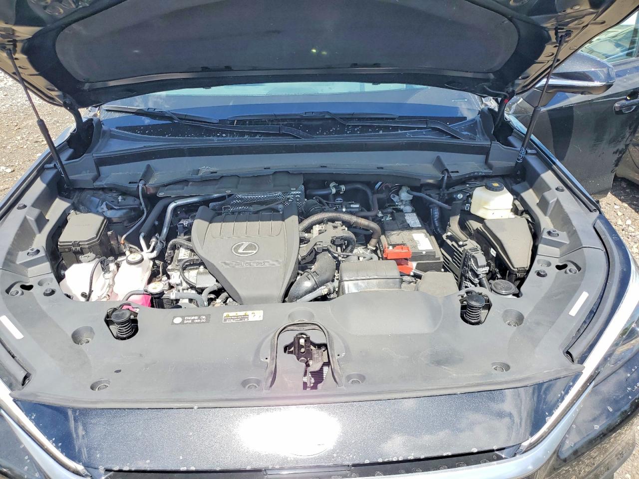 2024 LEXUS TX 350 LUX