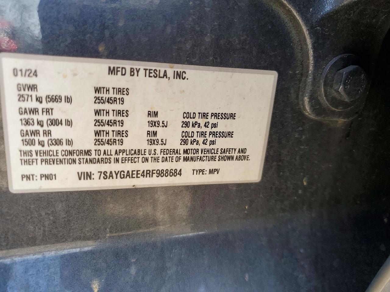 2024 TESLA MODEL Y