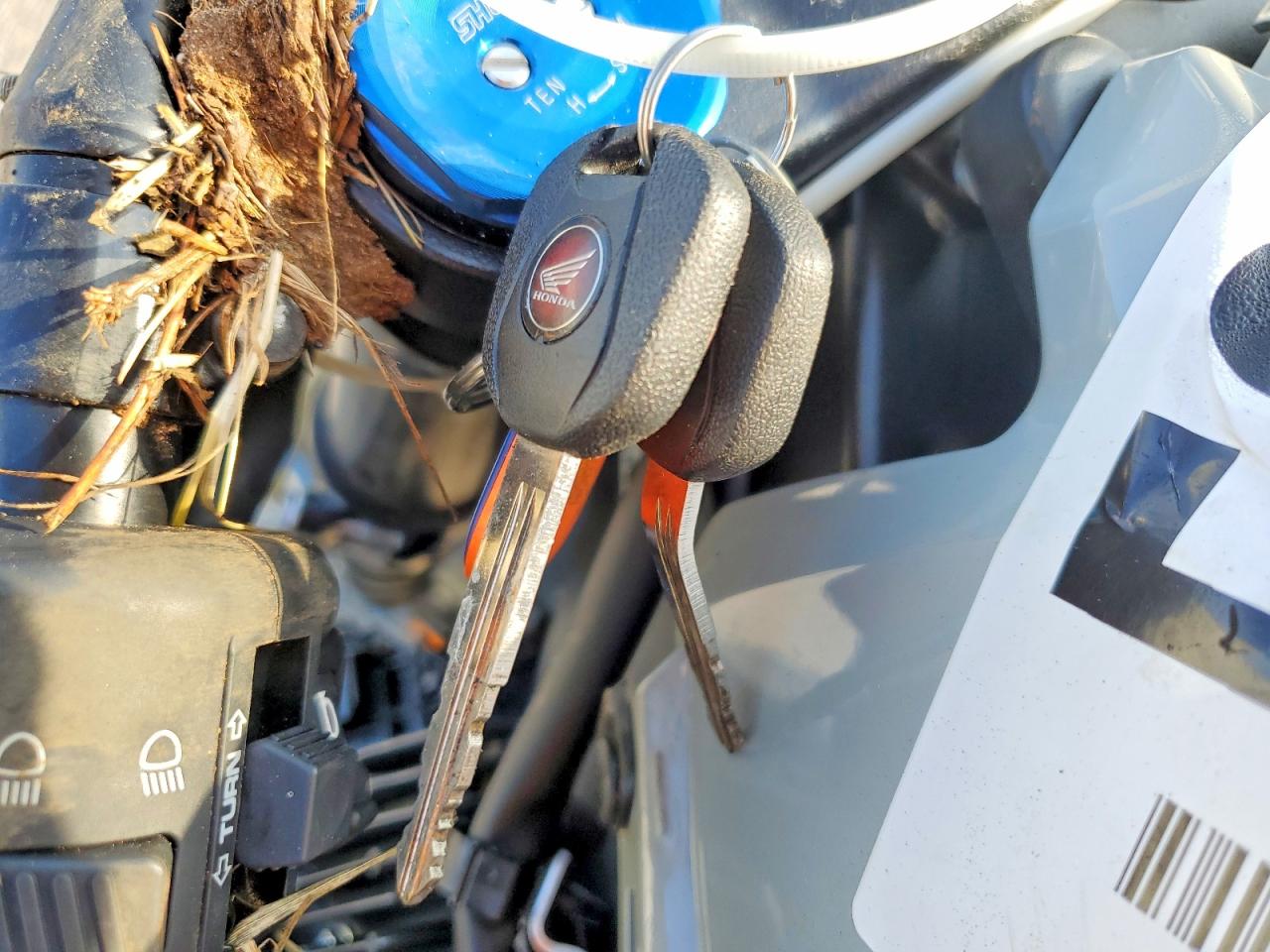 2026 HONDA CBR CYCLE