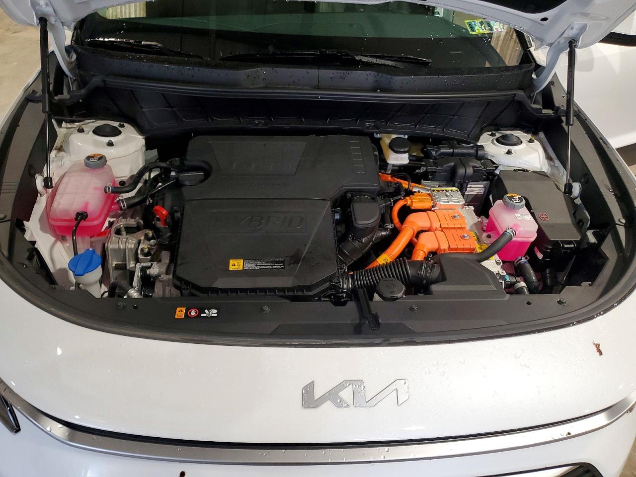 2025 KIA NIRO