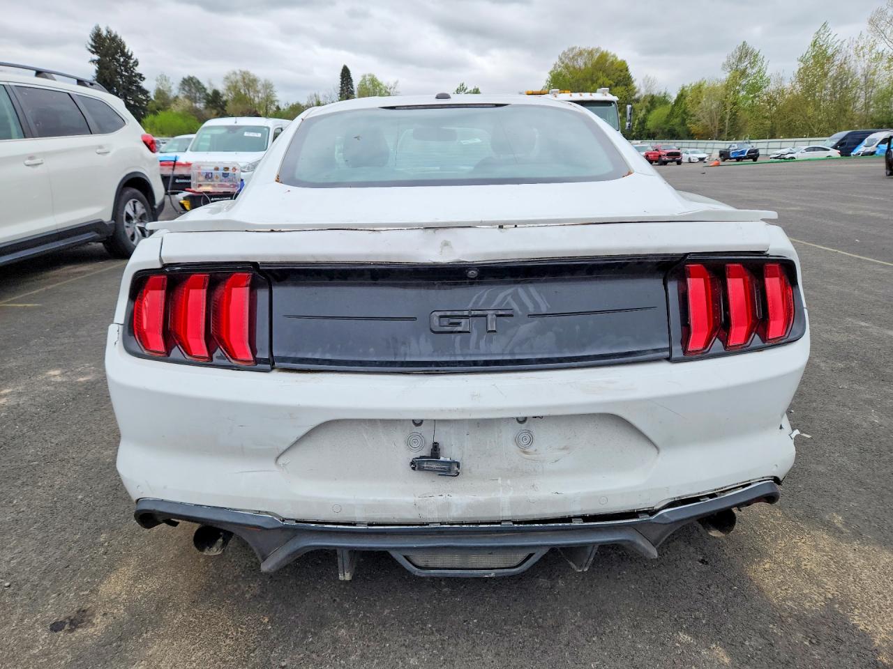 2019 FORD MUSTANG