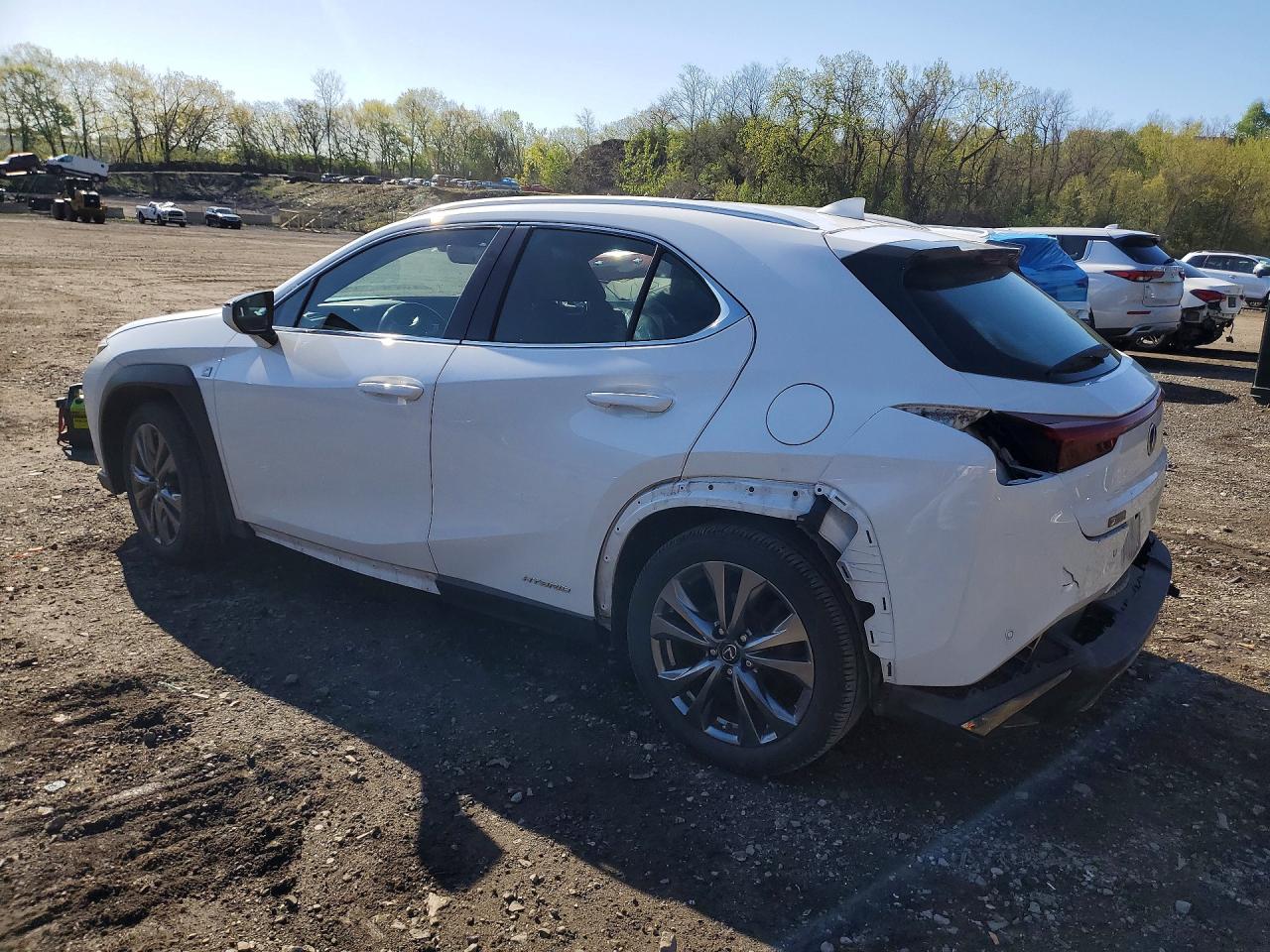 2021 LEXUS ALL OTHER