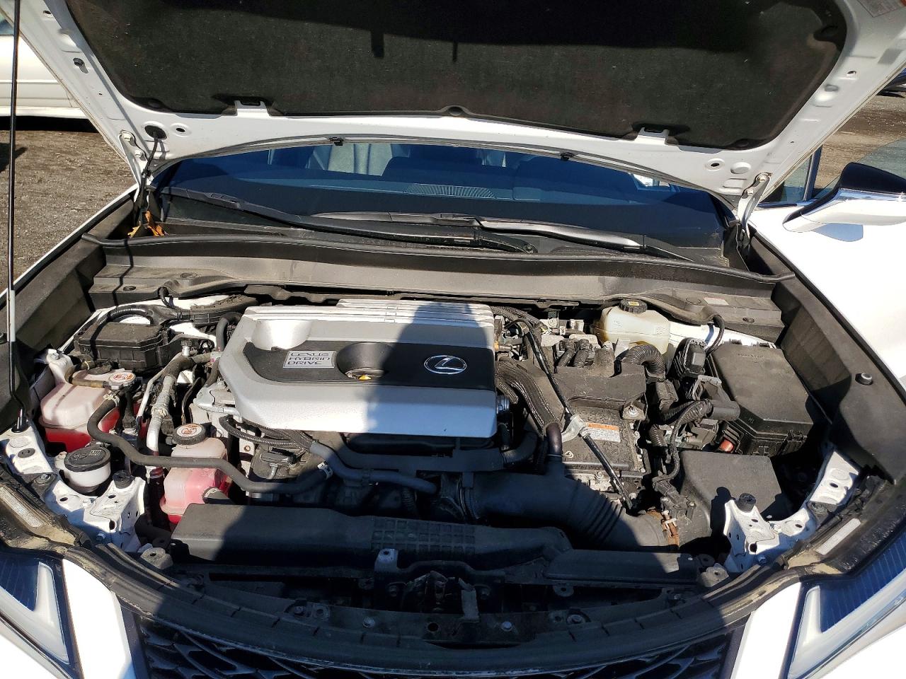 2021 LEXUS ALL OTHER