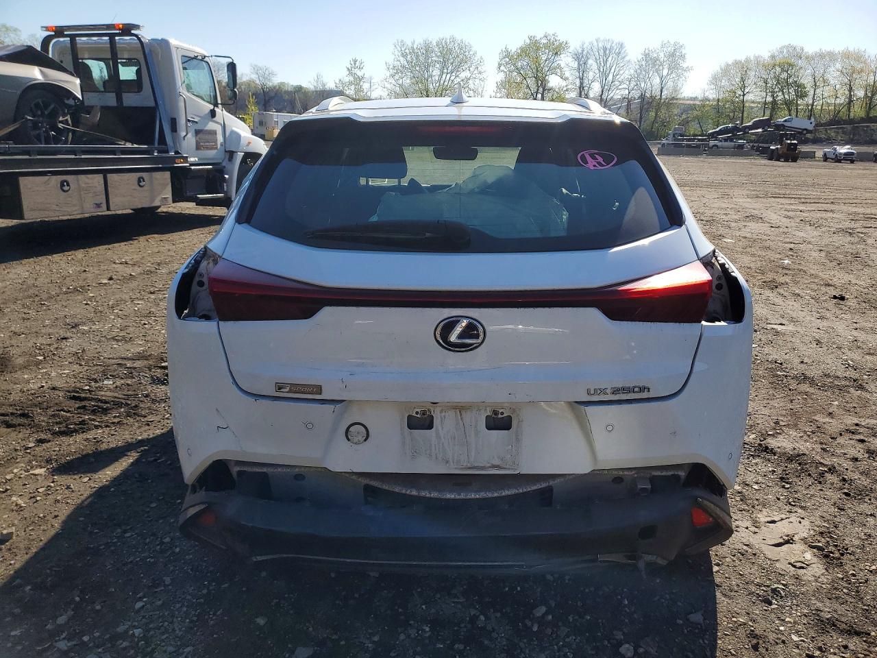 2021 LEXUS ALL OTHER