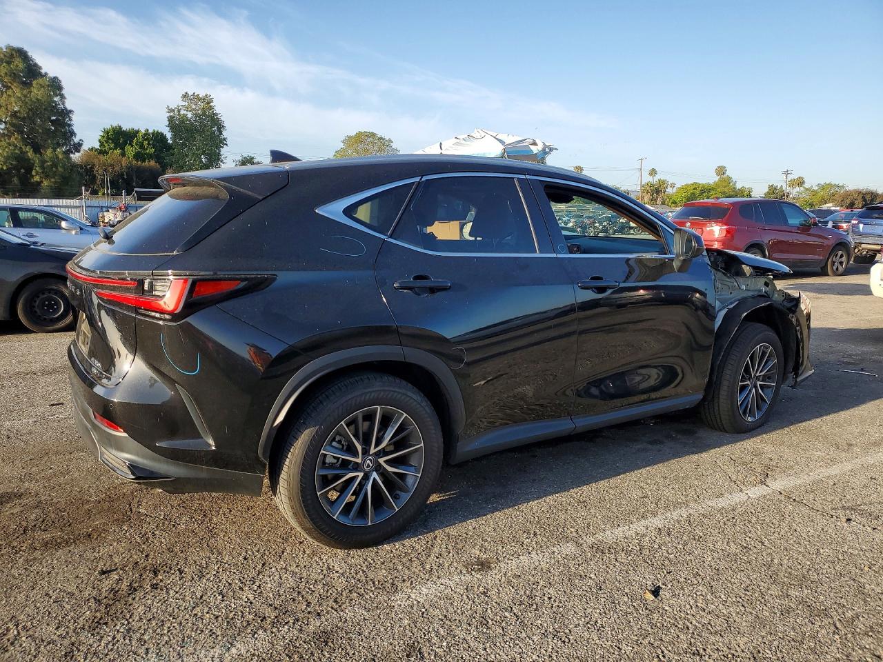 2024 LEXUS NX
