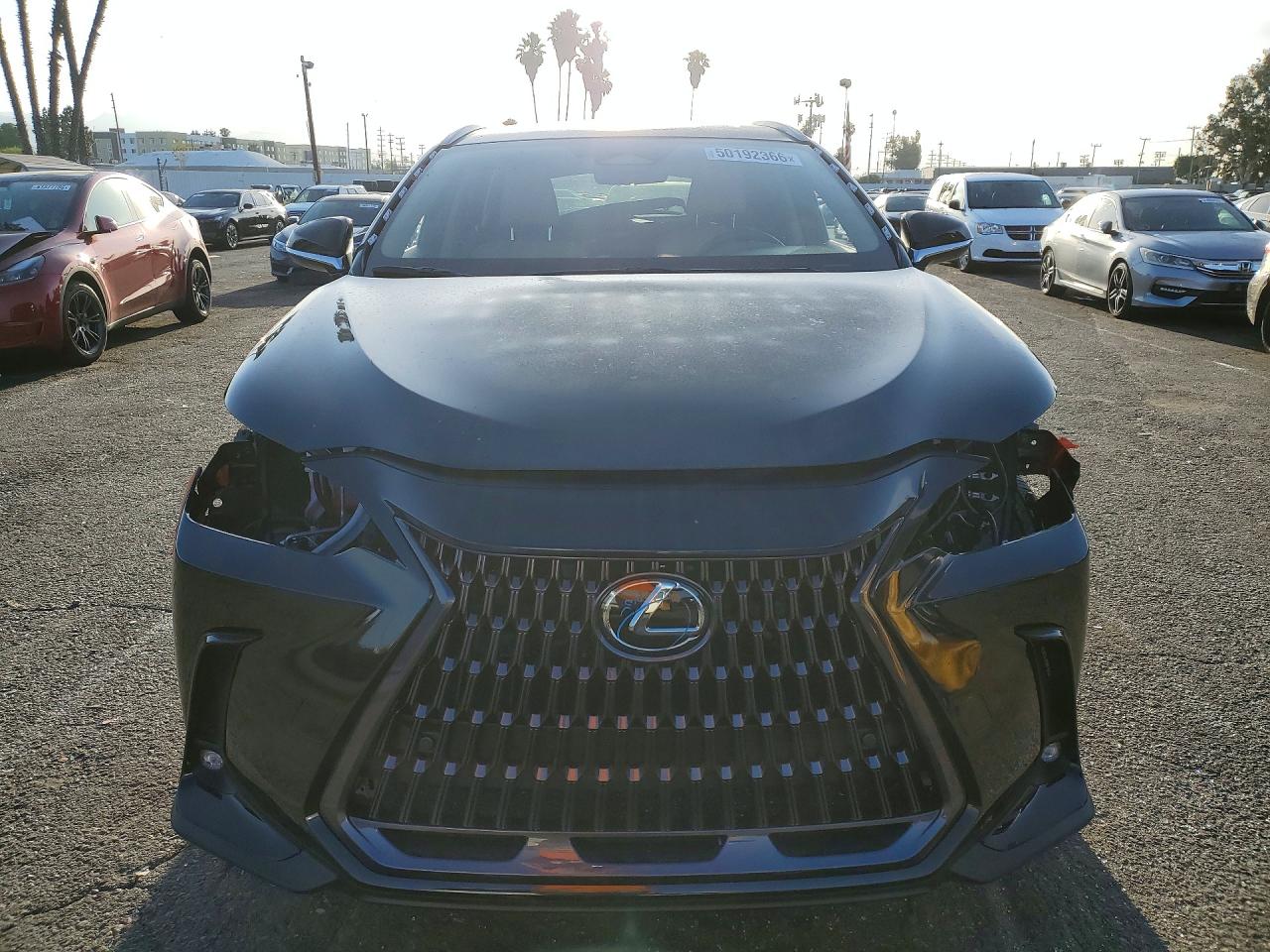 2024 LEXUS NX
