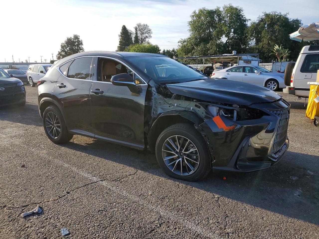 2024 LEXUS NX