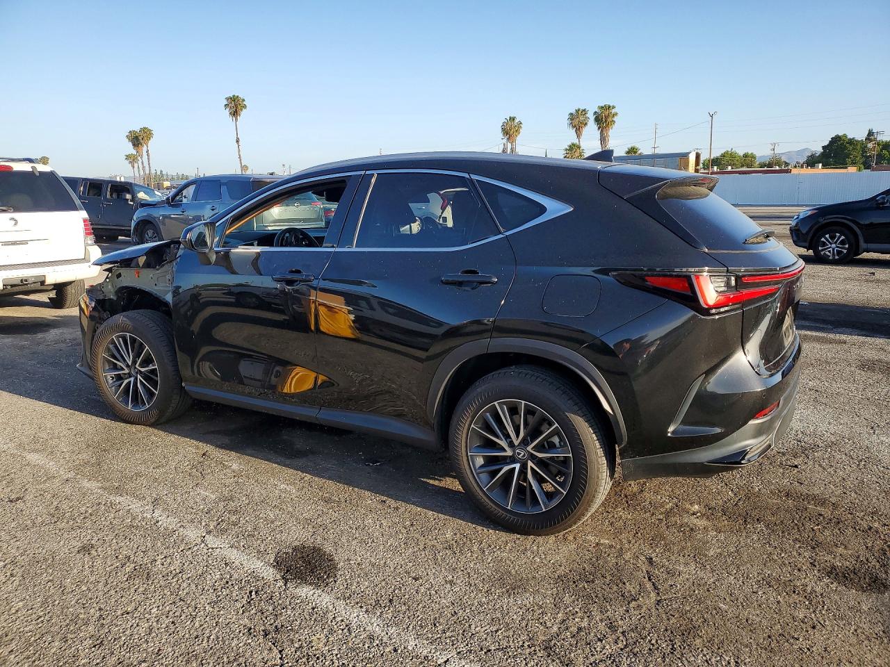 2024 LEXUS NX
