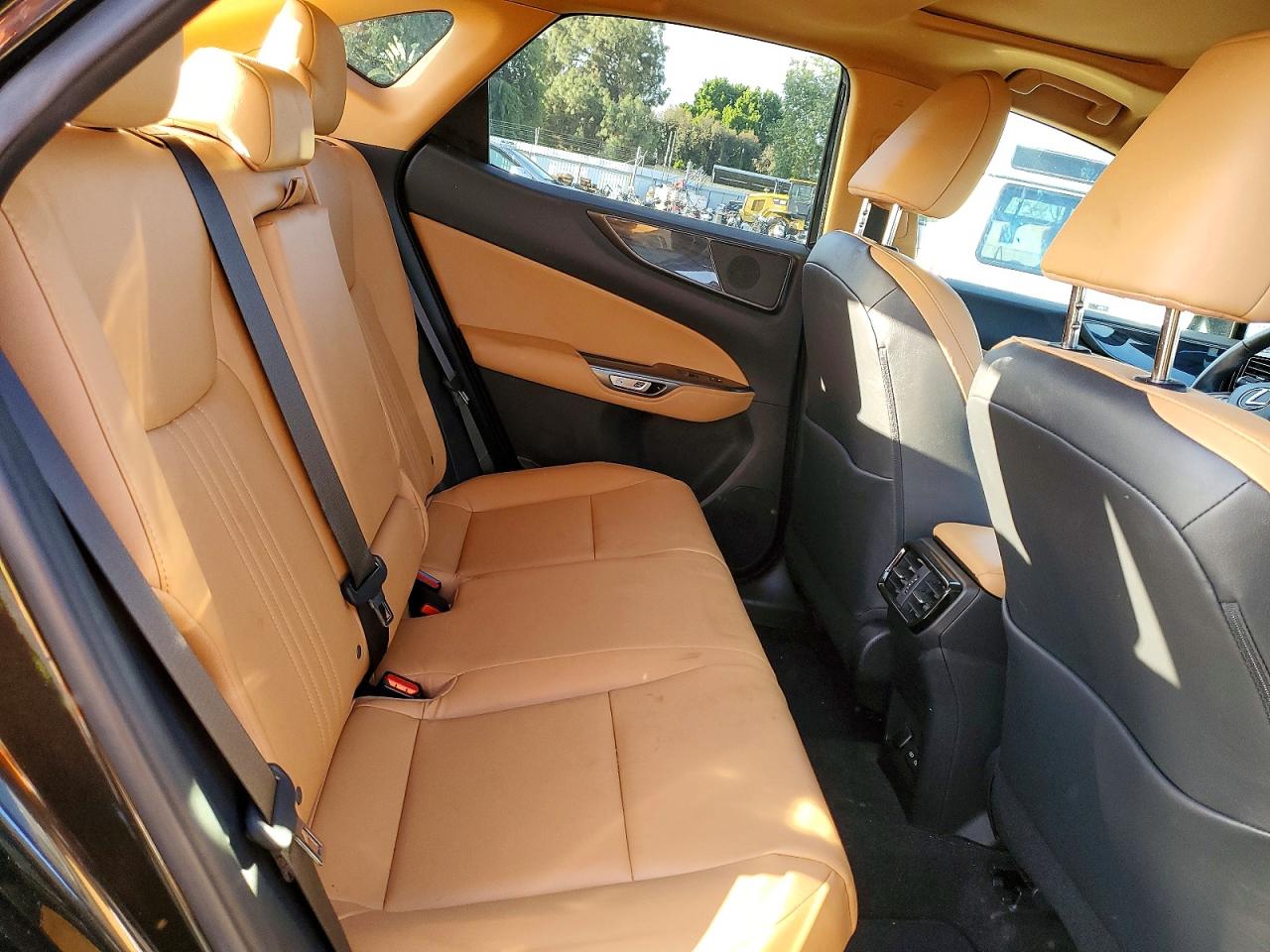 2024 LEXUS NX