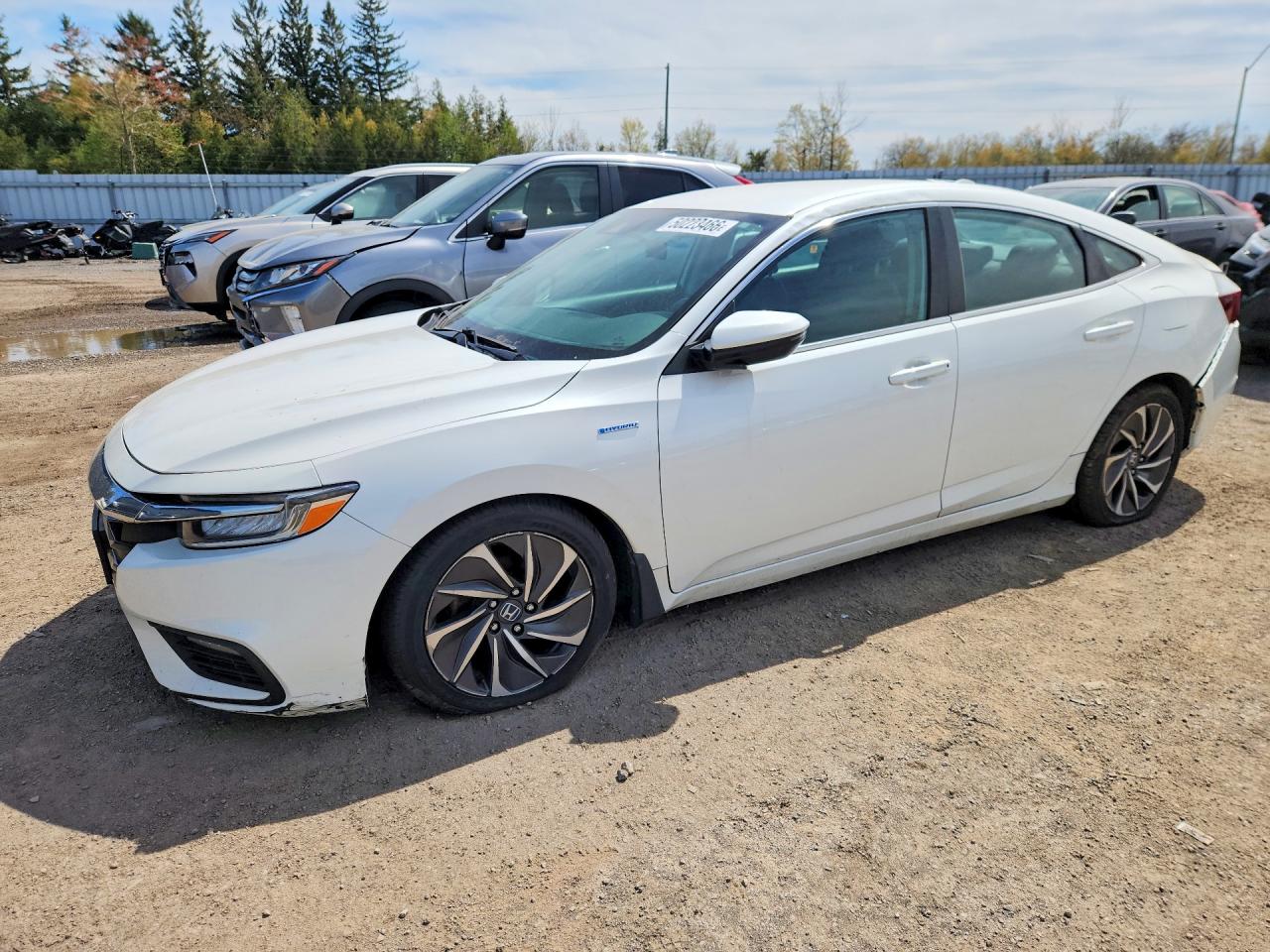 2019 HONDA INSIGHT