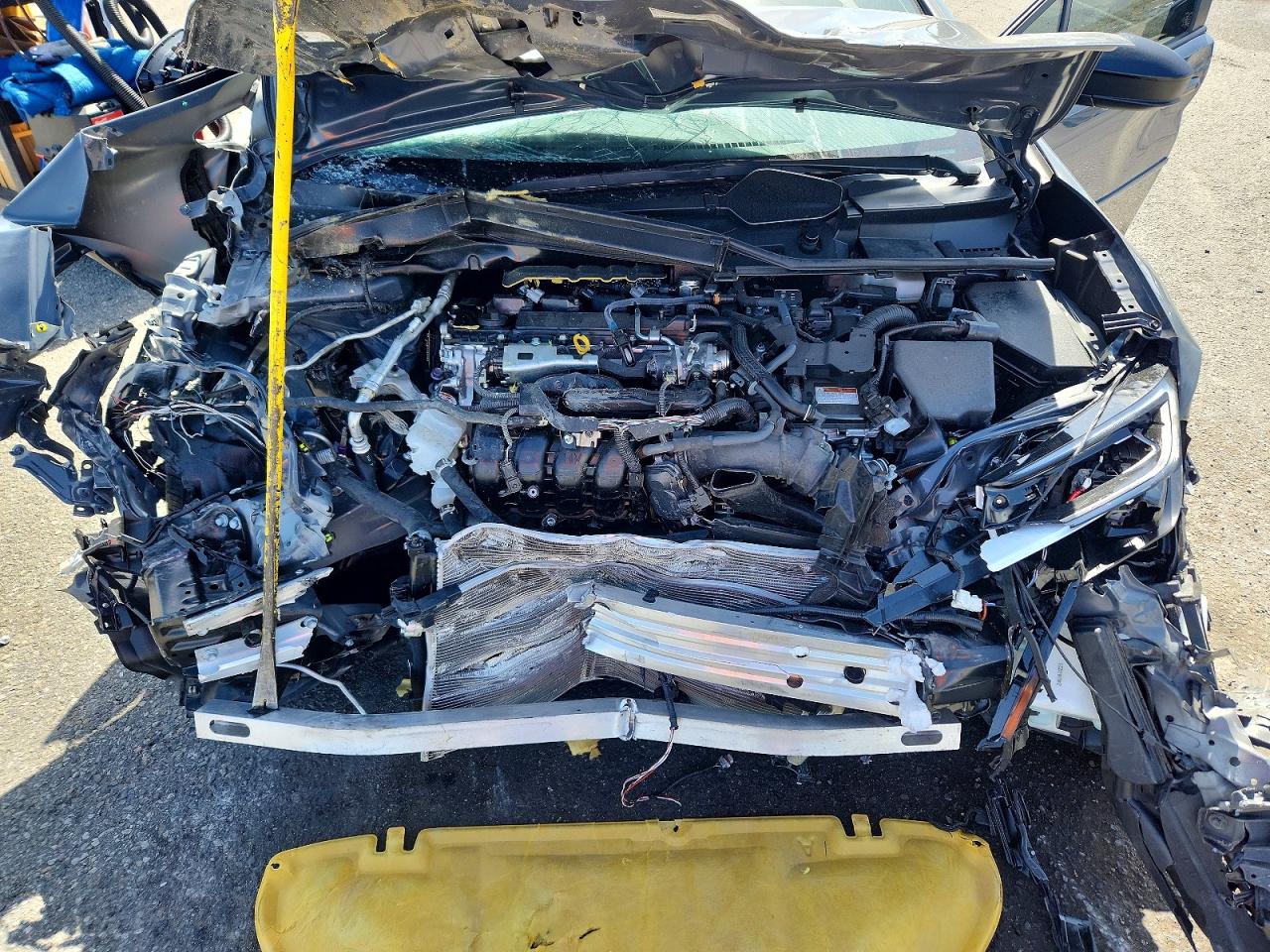 2024 TOYOTA PRIUS