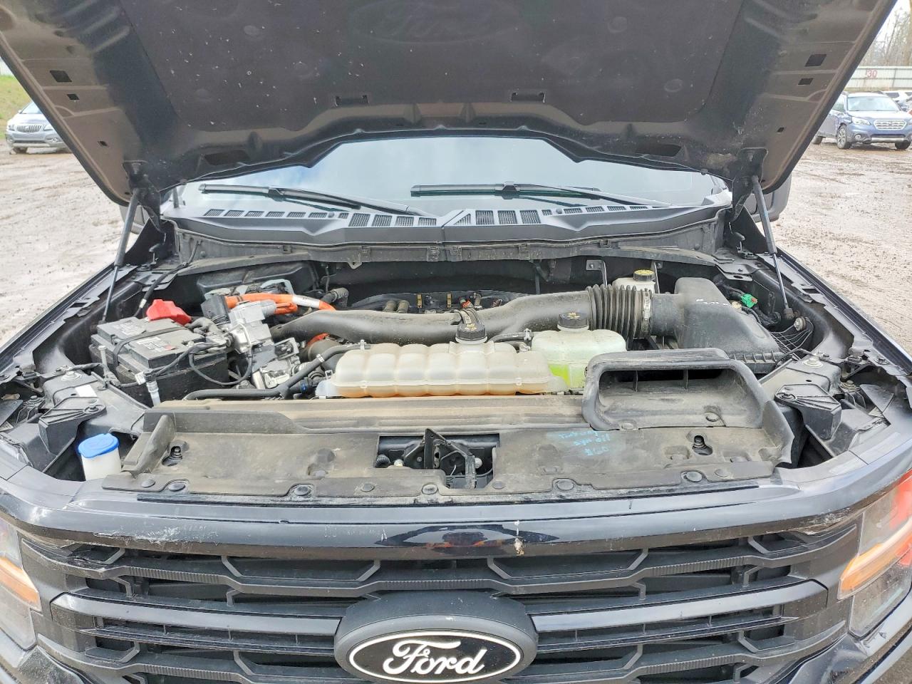2024 FORD F150