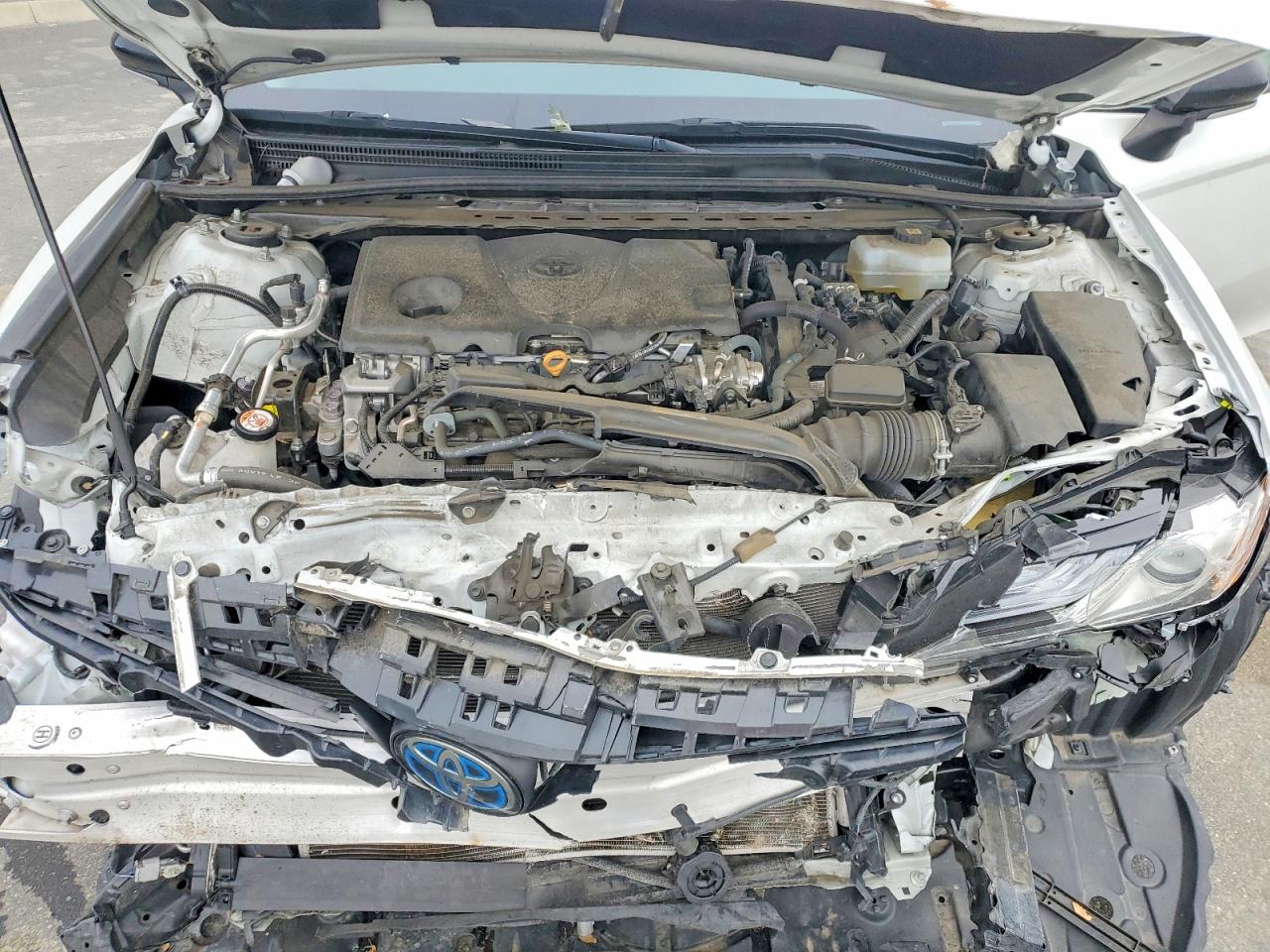 2023 TOYOTA CAMRY