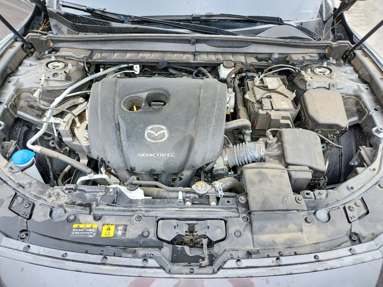 2024 MAZDA CX-50