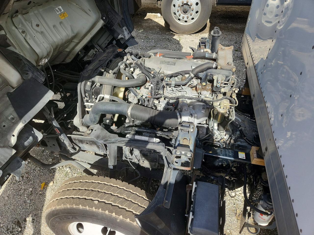 2019 ISUZU NPR