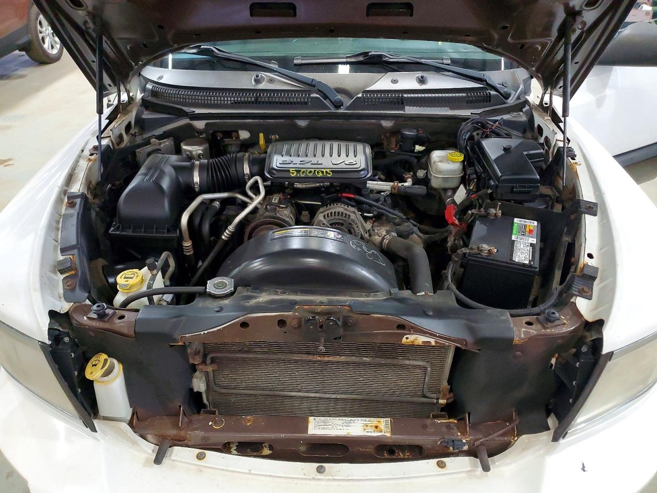 2010 DODGE DAKOTA